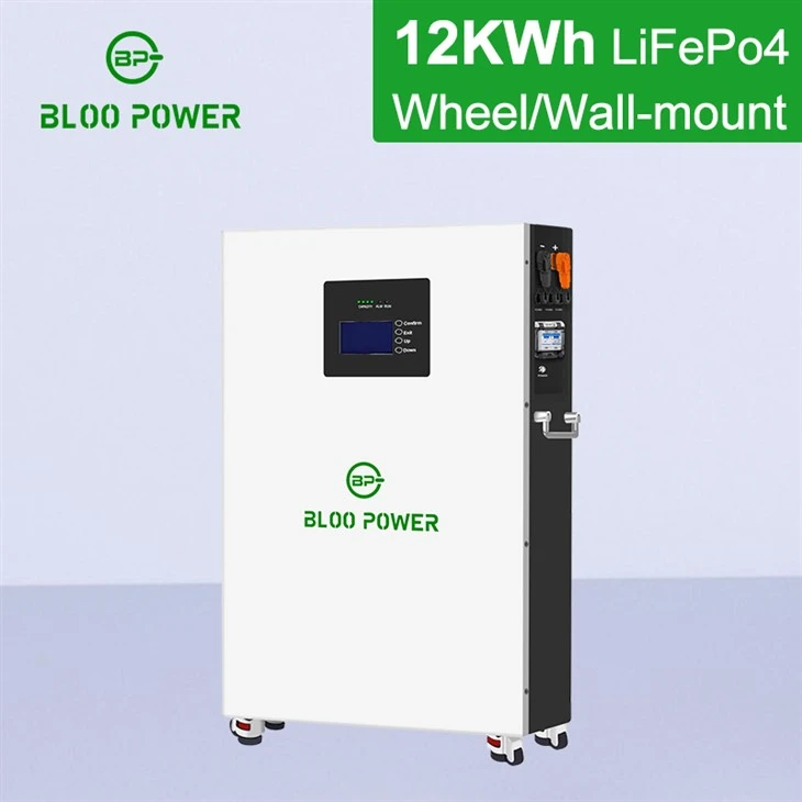 228Ah Scalable Lithium Power Wall Plus Roller Function For 24KWh Battery Storage