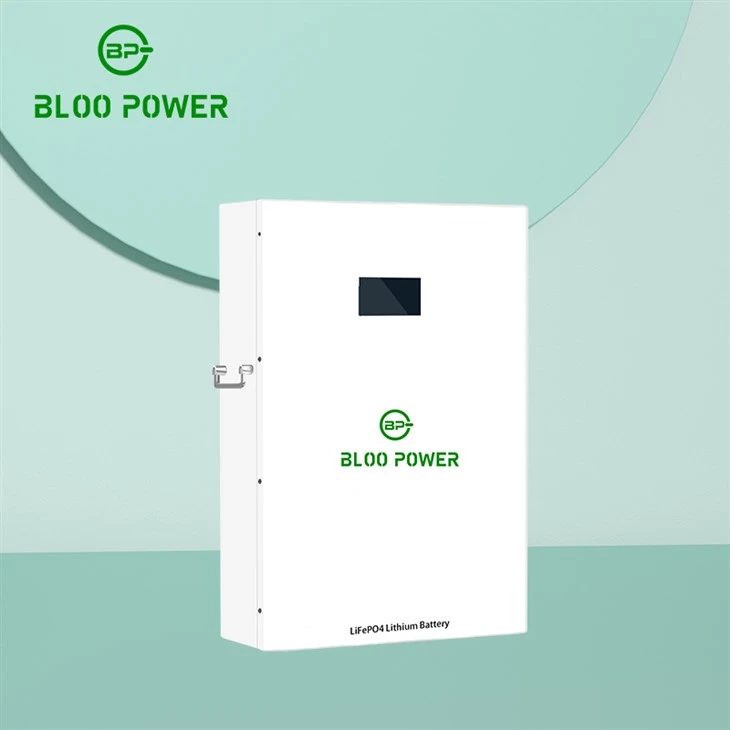Lithium Battery Energy Storage 51.2V 200Ah LiFePo4 Battery Solar Energy ESS